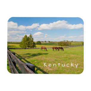 Íman Kentucky, cavalos no cavalo cultiva o ímã da fot