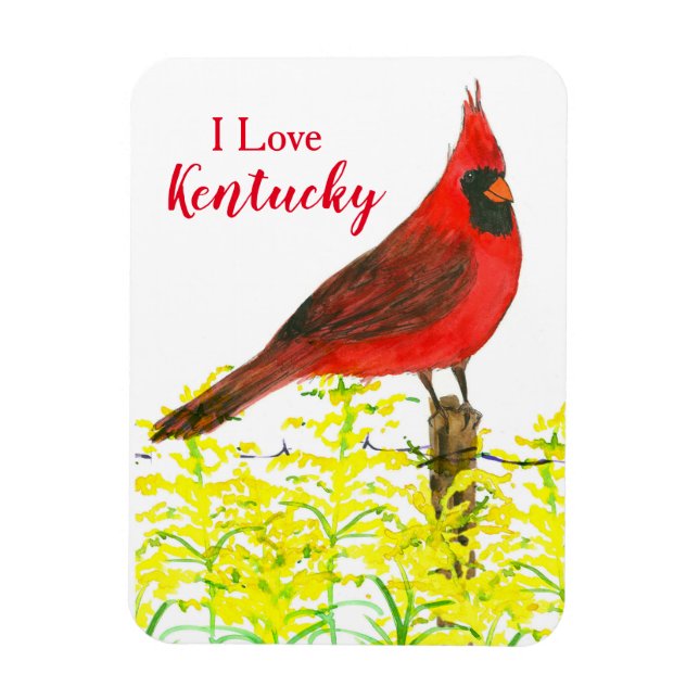 Íman Kentucky Tourist Souvenir Cardinir State Bird (Vertical)