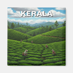 Íman Kerala India Tea Plantation