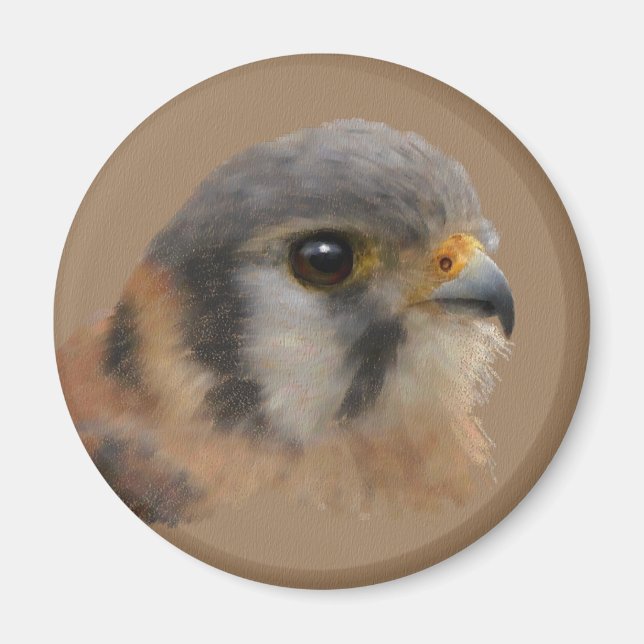 Íman Kestrel Americano (Frente)