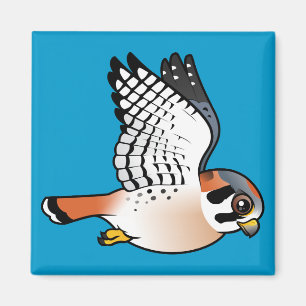 Íman Kestrel americano em vôo