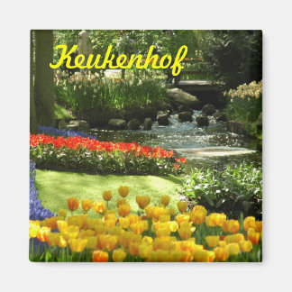 Íman Keukenhof