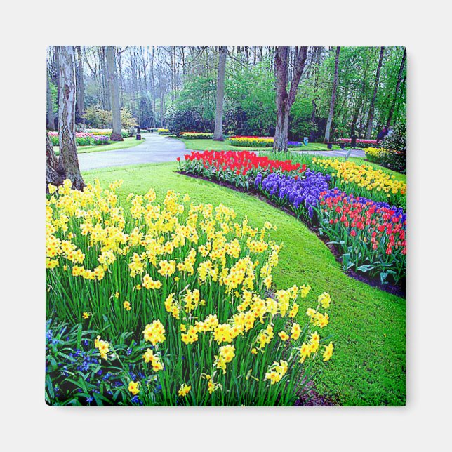 ÍMAN KEUKENHOF GARDENS, LISSE HOLLAND (Frente)