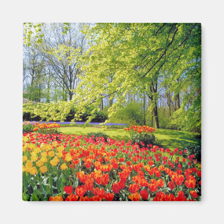 ÍMAN KEUKENHOF GARDENS, LISSE HOLLAND