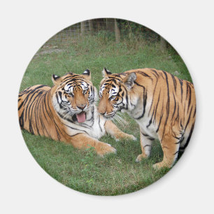 Íman khan-n-china009