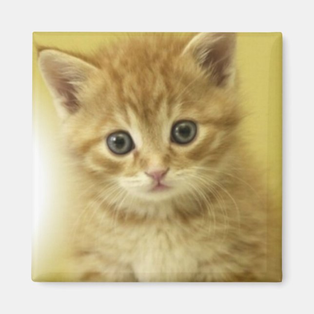 Íman Kiity (Frente)