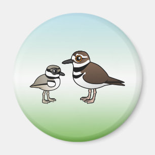 Íman Killdeer & pintinho