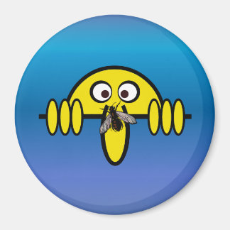 Íman Kilroy Fly em Nose
