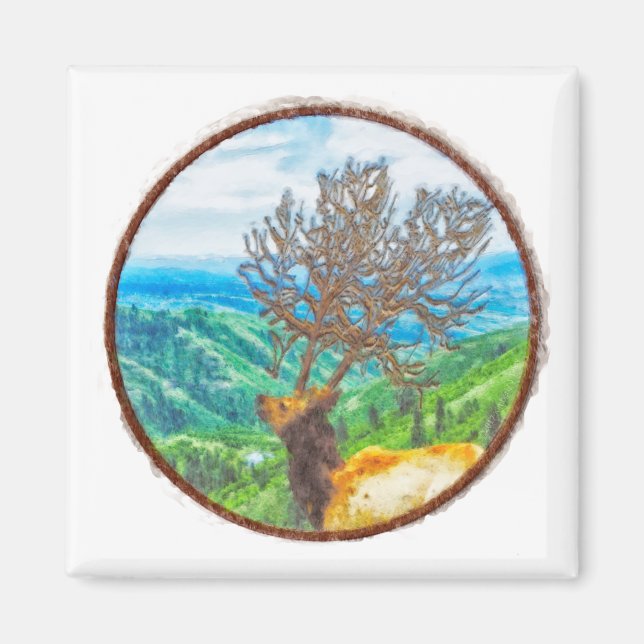 Íman King Cervus (Frente)