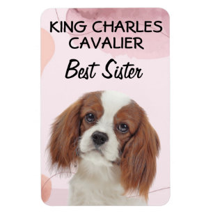 Íman King Charles Cavalier Melhor Irmã