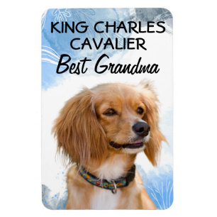 Íman King Charles Cavalier Melhor Magnet