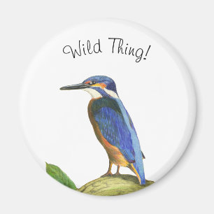 Íman Kingfisher