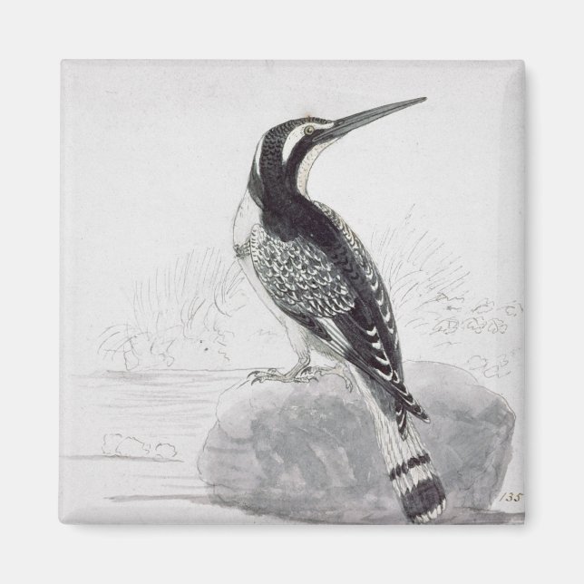 Íman Kingfisher Preto e Branco (Frente)