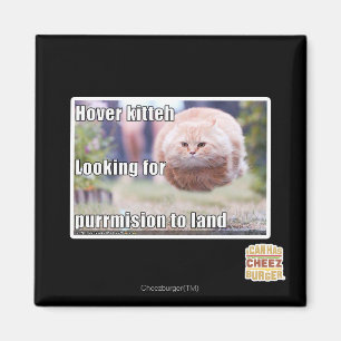 Íman Kitteh do pairo