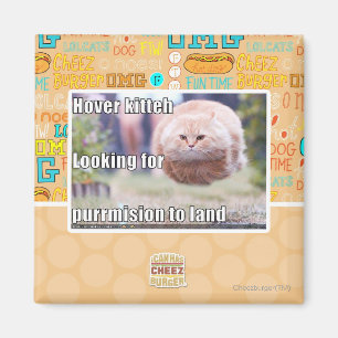 Íman Kitteh do pairo
