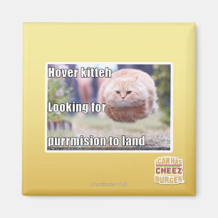 Íman Kitteh do pairo