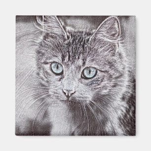 Íman Kitten Adorava Gato De Gatinho Gelado Com Olhos Az