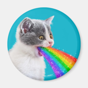 Íman Kitten Cria Arco-Íris
