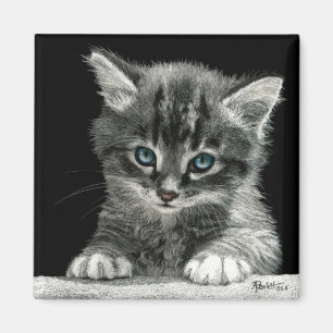 Íman Kitten Magnet - "O Futuro Brilhante"