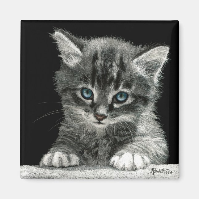 Íman Kitten Magnet - "O Futuro Brilhante" (Frente)