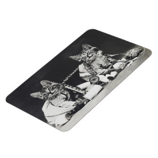 Íman Kitten Mishead Makers 1914