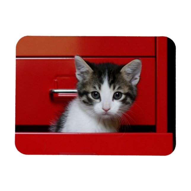 Íman Kitten Peeking (Horizontal)