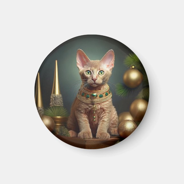 Íman Kitten Petersbald No Parágrafo De Natal (Frente)