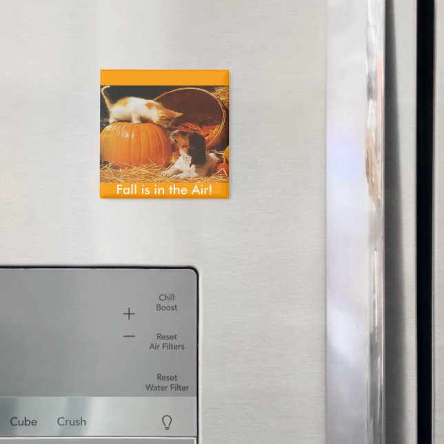 Íman Kitten, Pumpkin e Puppy (In Situ (Fridge))