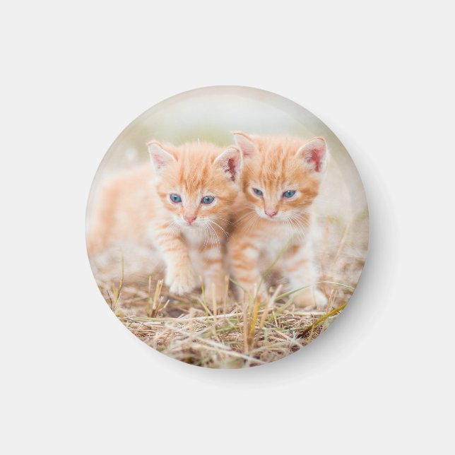 Íman Kitten, Red, Two (Frente)