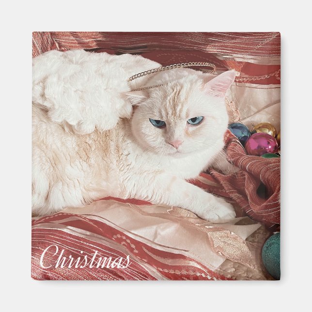 Íman Kitty Angel for Christmas (Frente)