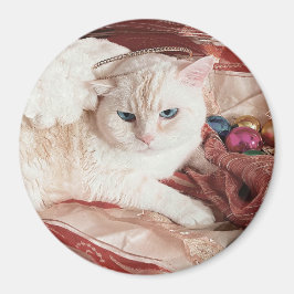 Íman Kitty Angel para o Natal