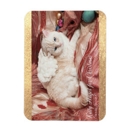 Íman Kitty Angel para o Natal