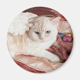 Íman Kitty Angel para o Natal