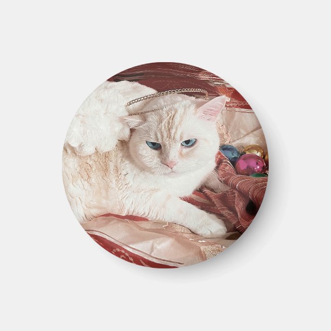 Íman Kitty Angel para o Natal (Frente)