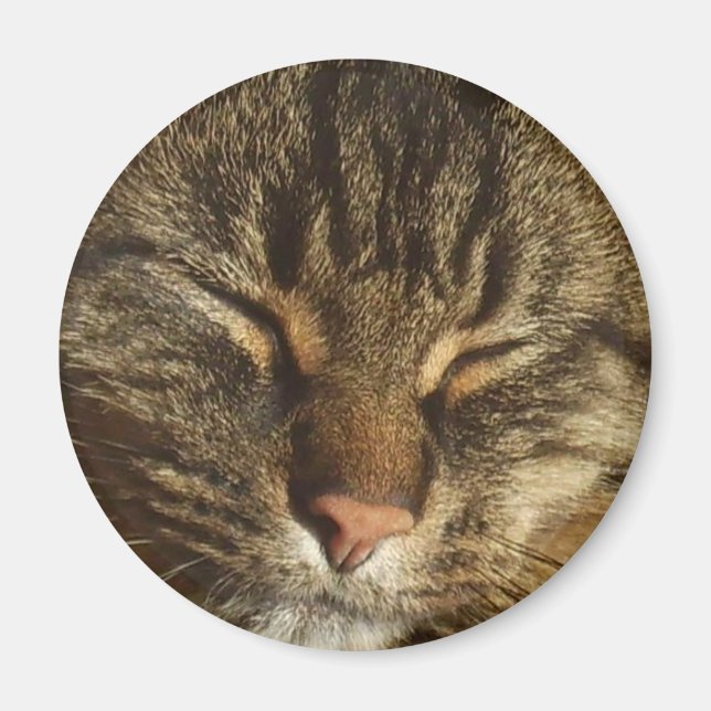 Íman Kitty Cat Magnet (Frente)