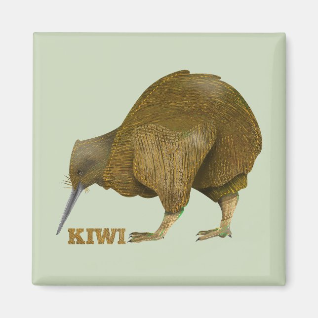 Íman Kiwi N.Z. Bird (Frente)