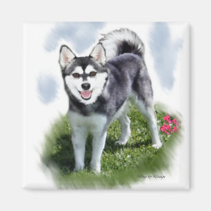 Íman Klee Kai Art