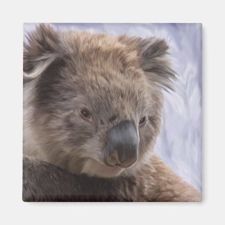 Íman Koala Bear