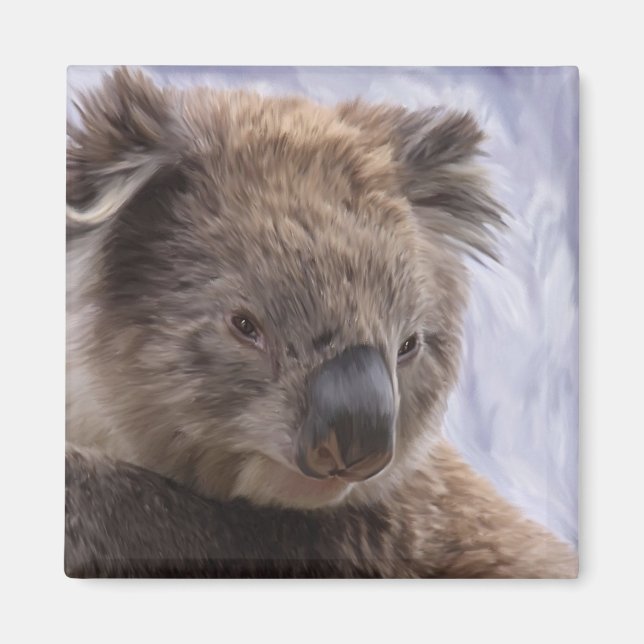 Íman Koala Bear (Frente)