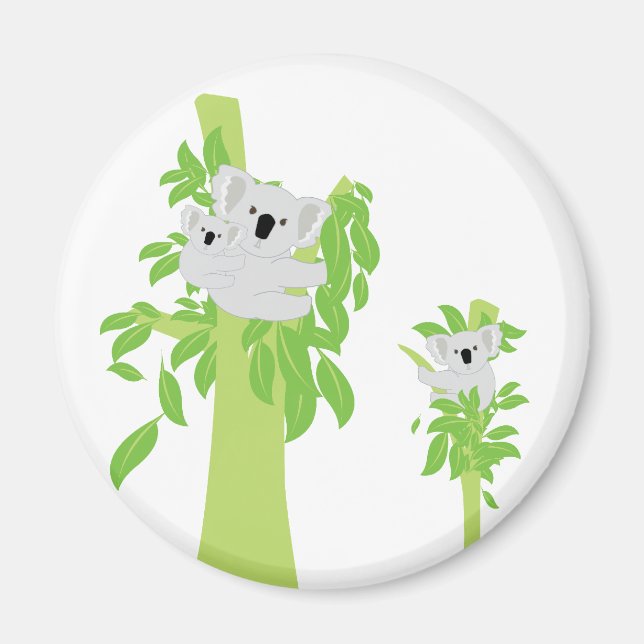 Íman Koala Bear (Frente)