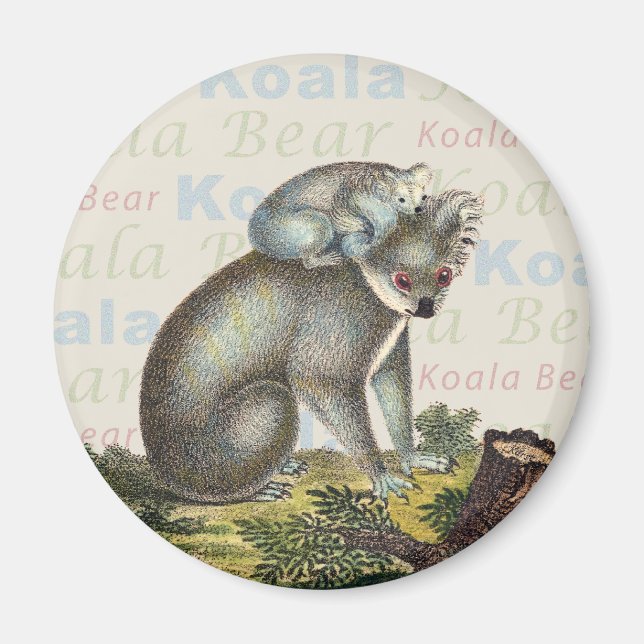 Íman Koala Bear Magnet (Frente)