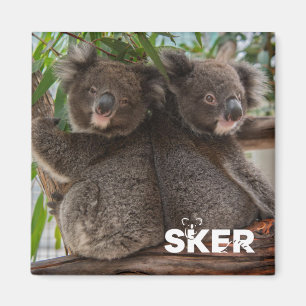 Íman Koala Joey