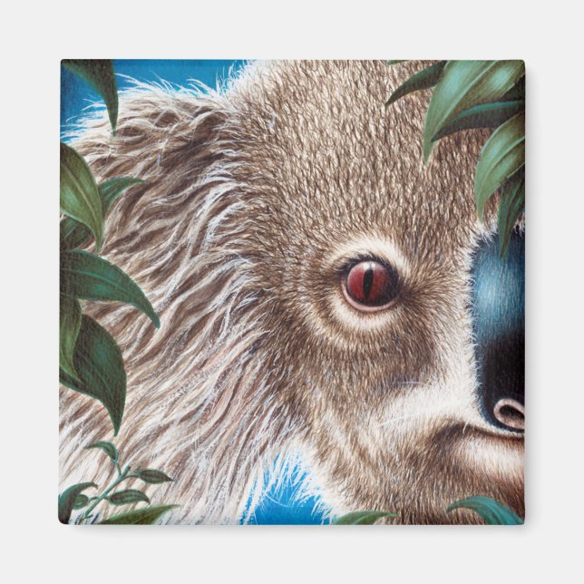 Íman Koala Magnet (Frente)