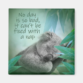 Íman Koala Nap