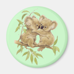 Íman Koalas bonitos