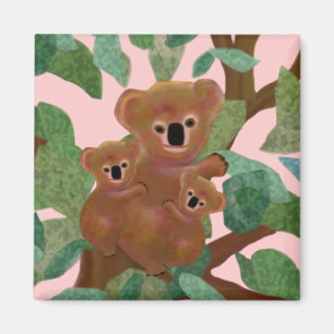 Íman Koalas no eucalipto