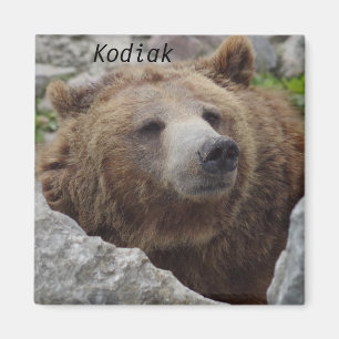 Íman Kodiak Bear