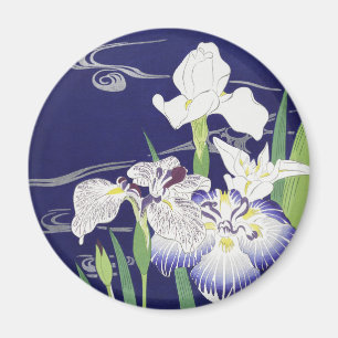 Íman Kogyo Tsukioka Irises,Arte Flor Japonesa