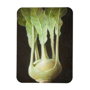 Íman Kohl Rabi 2012