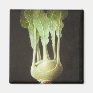 Íman Kohl Rabi 2012